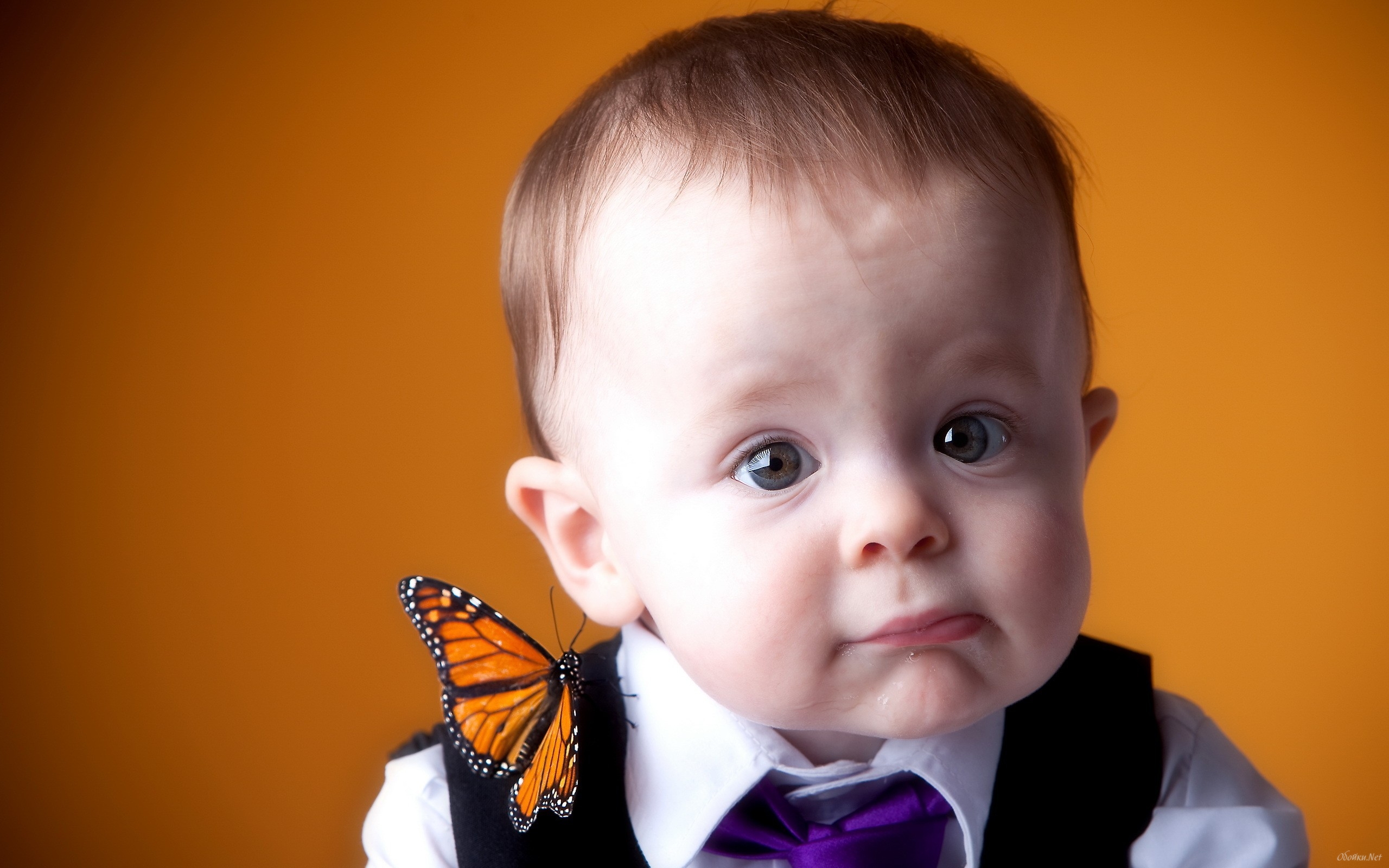 Photography Baby HD Wallpaper