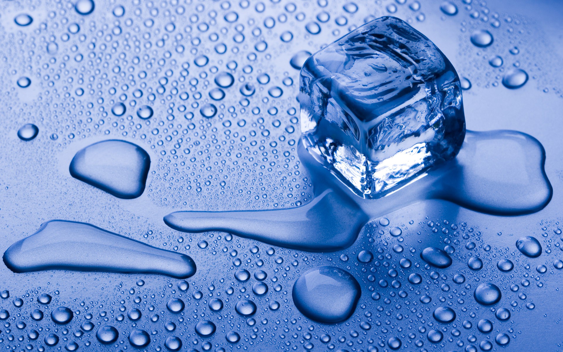 Melting Ice Cubes Wallpaper Images amp Pictures   Becuo 1920x1200