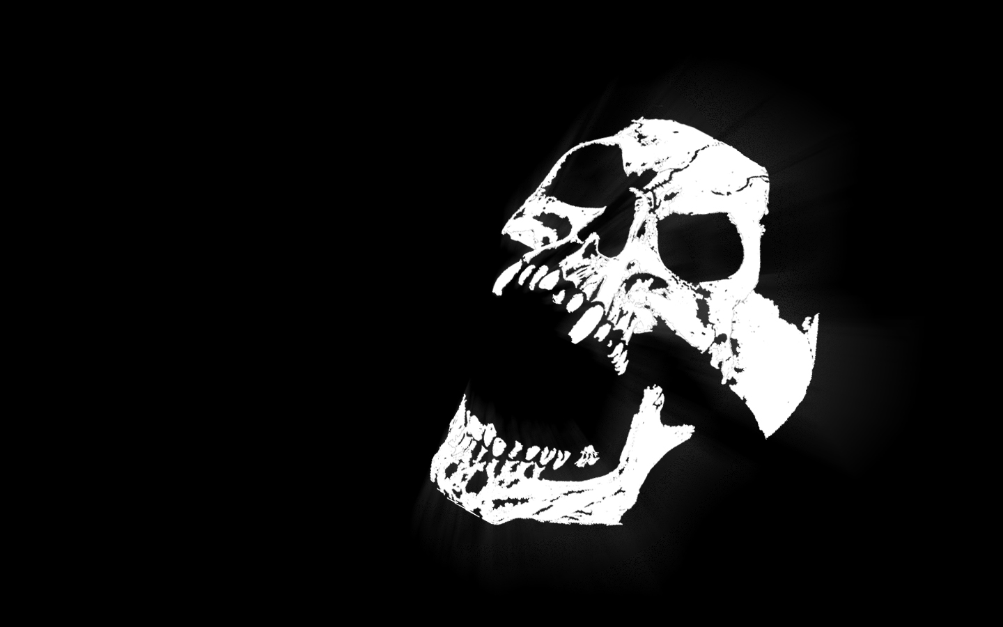 White Skull With Black Background Walls Town