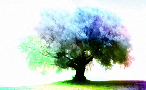 67+ Cool Tree Backgrounds on WallpaperSafari