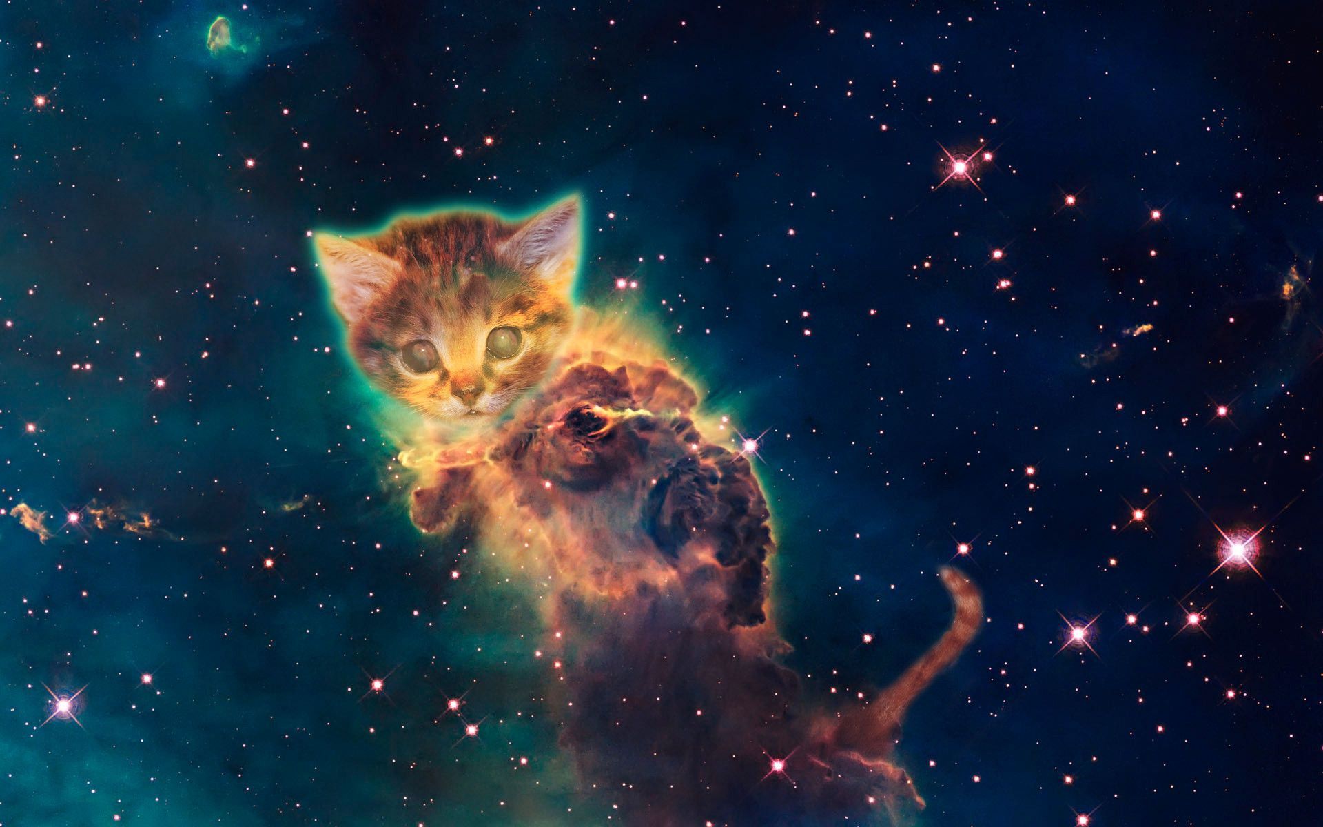 Cat Galaxy Wallpaper On