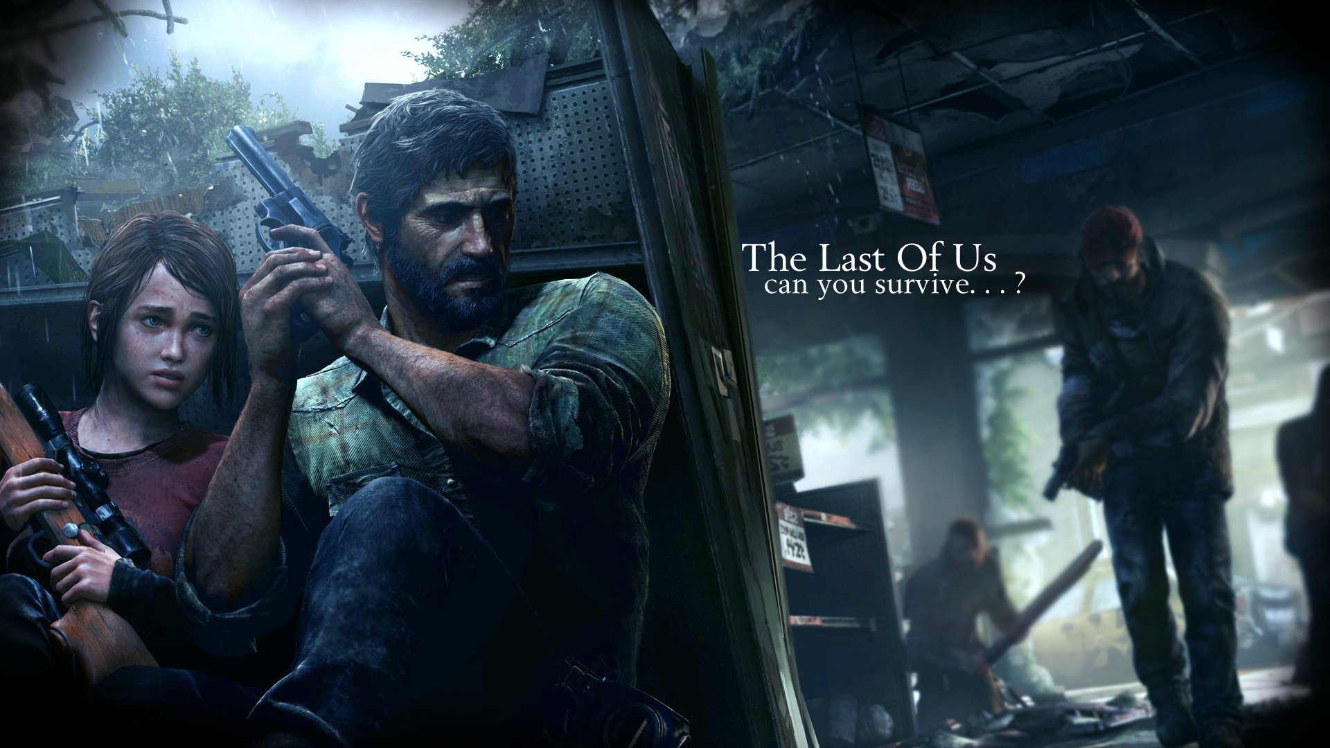 The Last Of Us Wallpaper HD