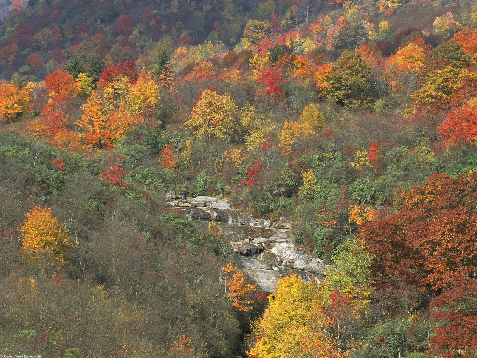Autumn Laurel Background Mountains Tennessee Smoky Creek Background