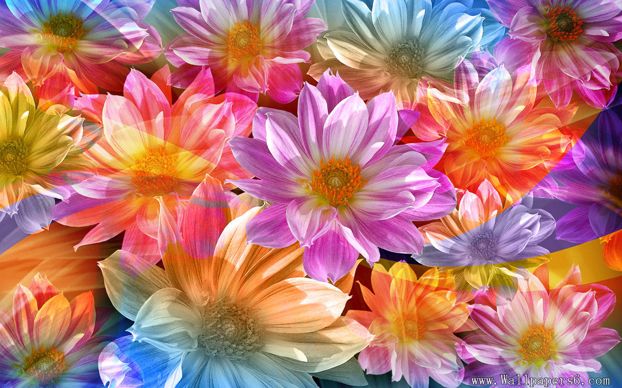 Beautiful Flowers Design Wallpaper