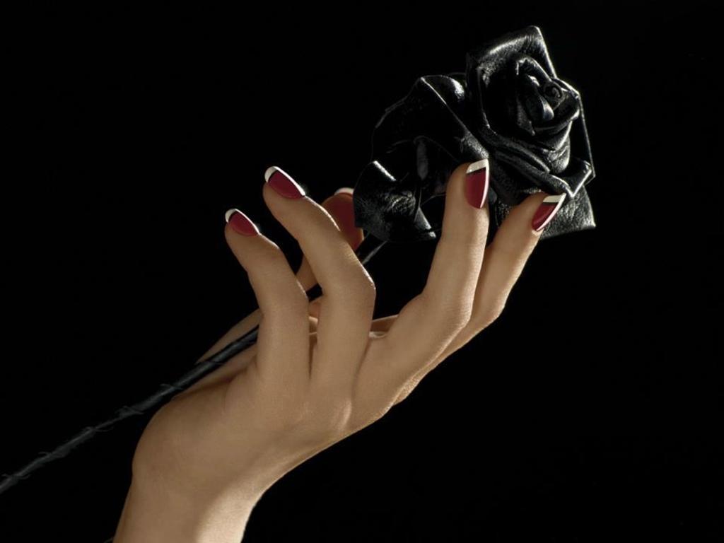 Black Rose Wallpaper HD Pictures One
