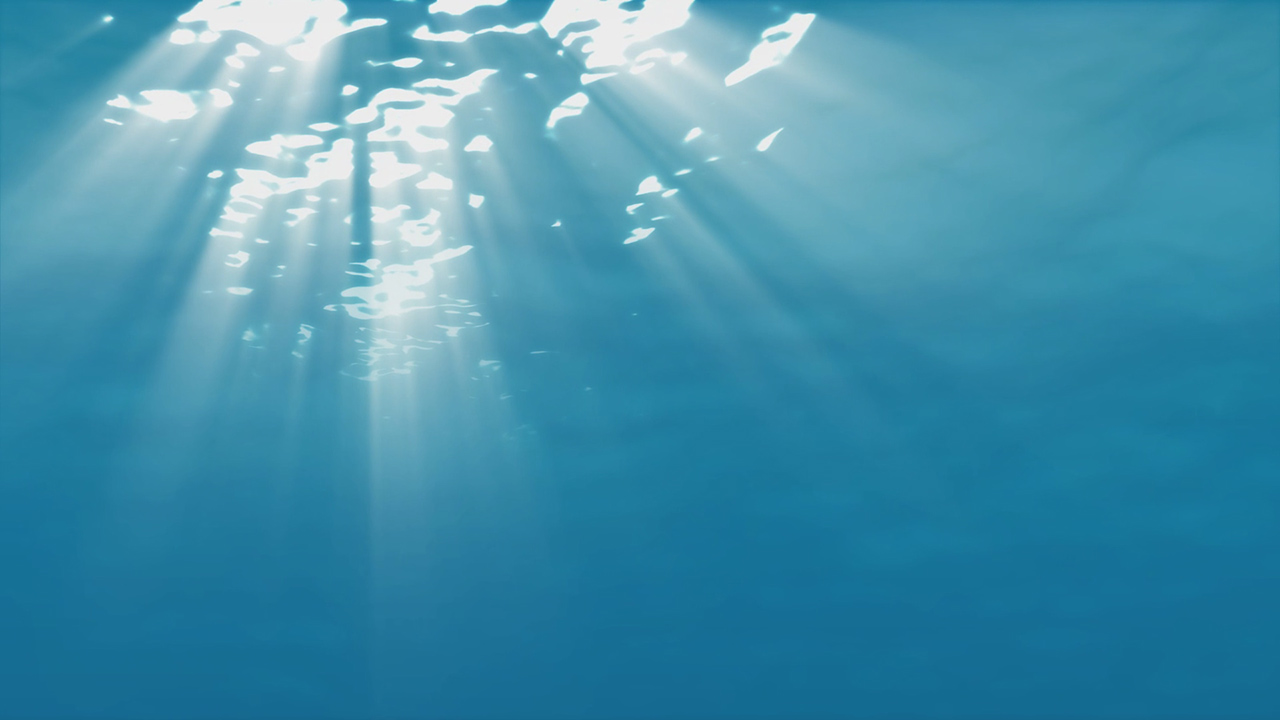 Animated Underwater Wallpaper Dreamscene Video And