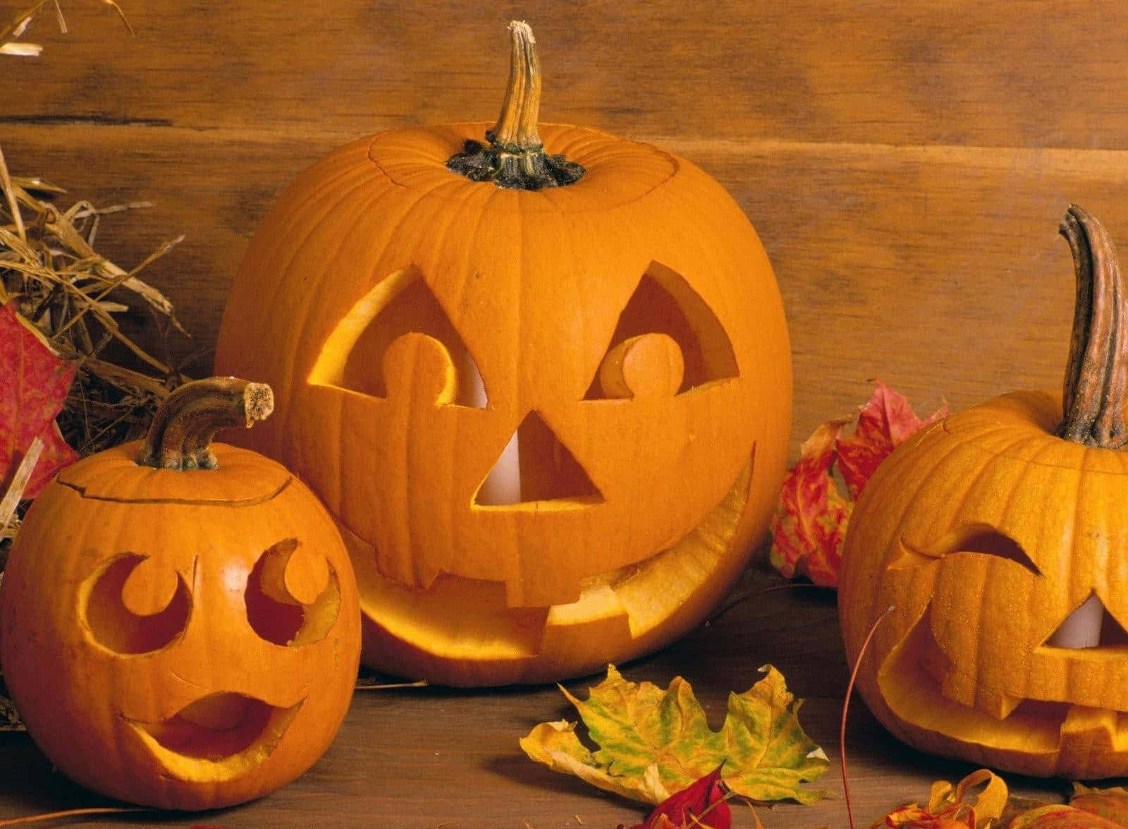 Carved Pumpkins Cute Expressions Xdranbc8sam1q12v Wallpaper