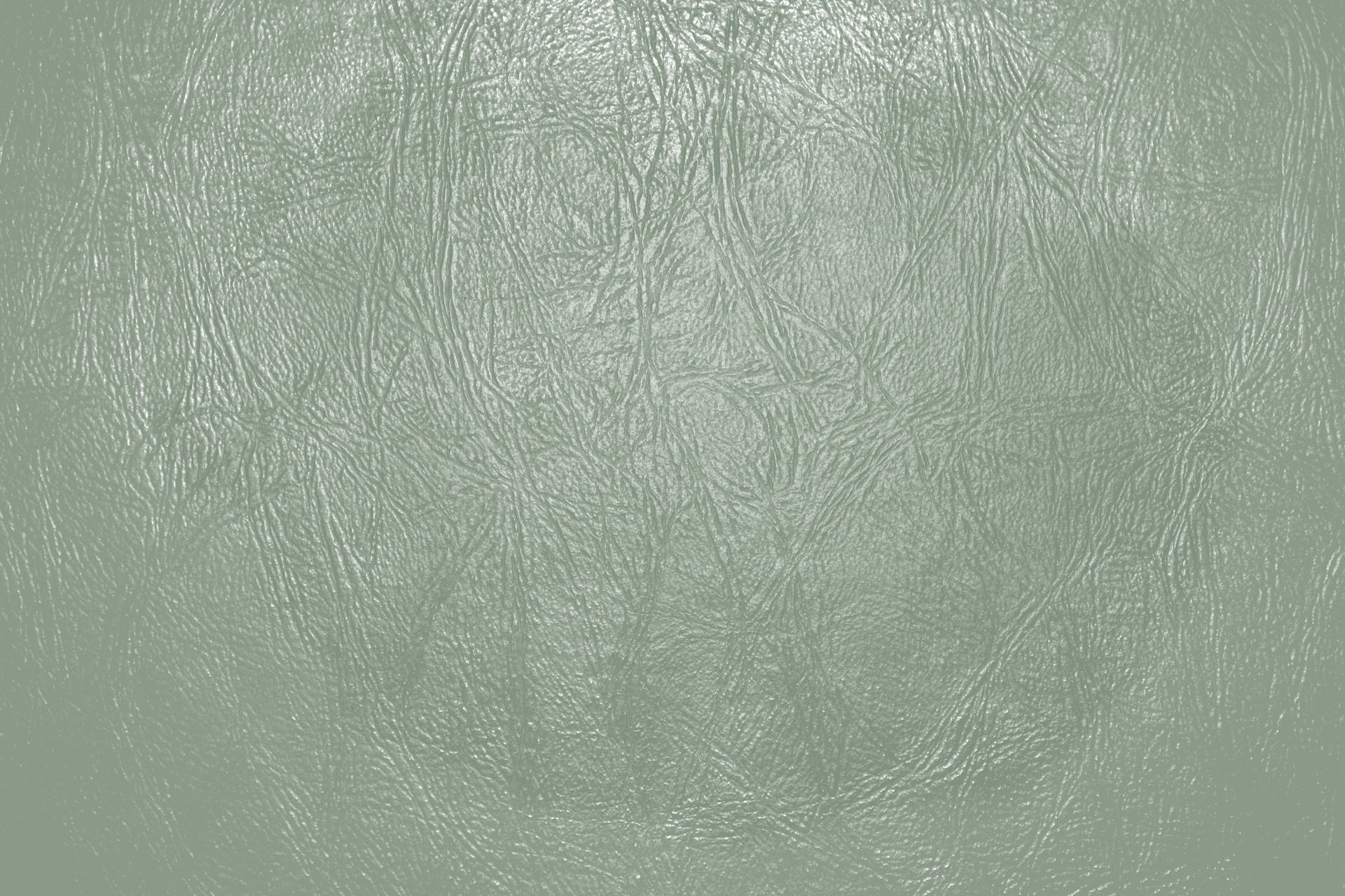 Sage Green Aesthetic Wallpaper