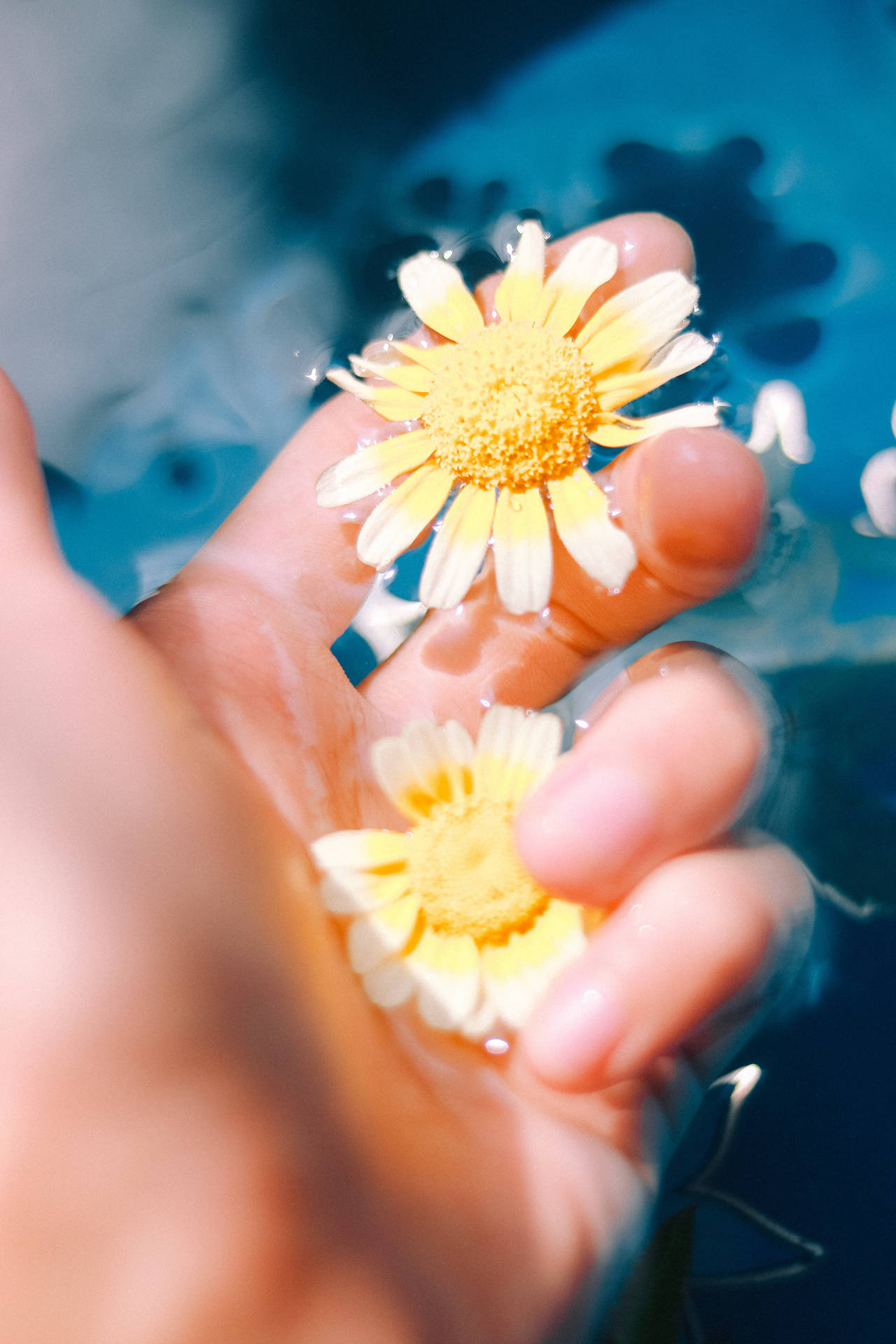 Top Girly Lock Screen iPhone Wallpaper Full HD 4k To Use