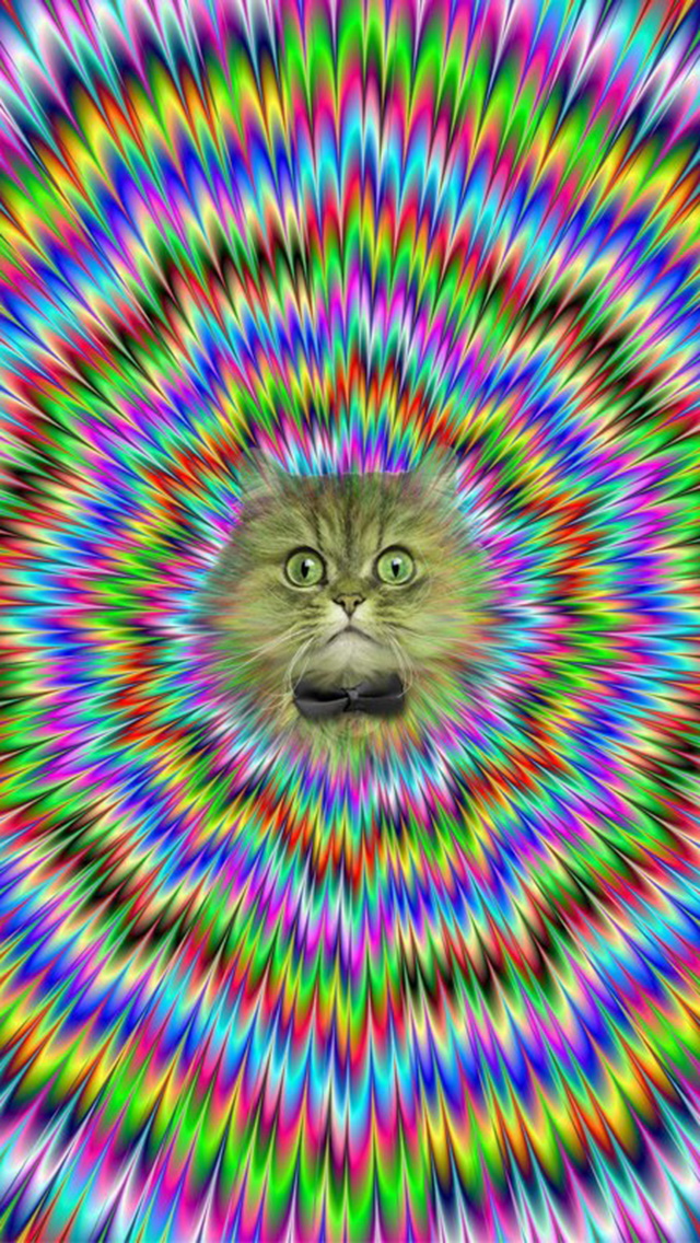 Psychedelic Cat iPhone Wallpaper