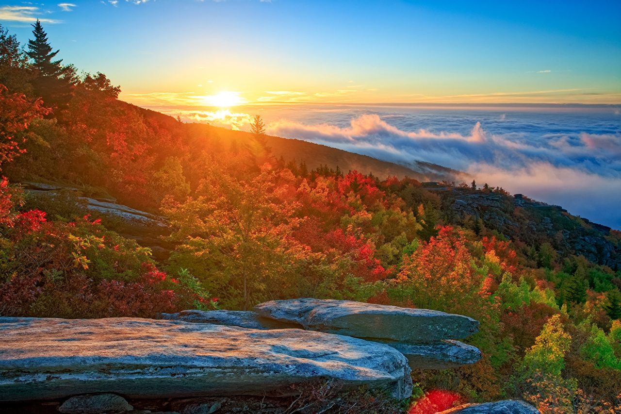 Wallpapers USA North Carolina Nature Autumn Sunrises and sunsets