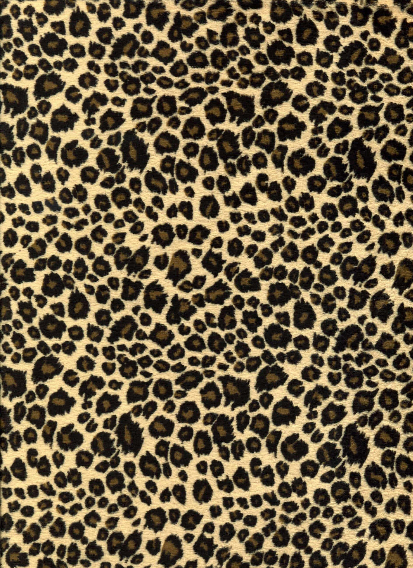 Aesthetic Cute Cheetah Print Wallpaper