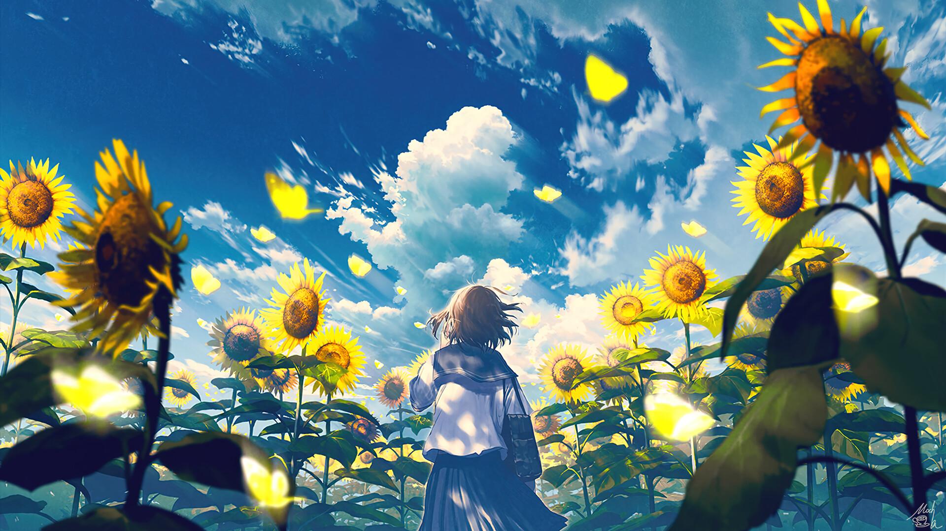 Anime School Girl Sun Flower Scenery Wallpaper iPhone Phone 4k 1430f