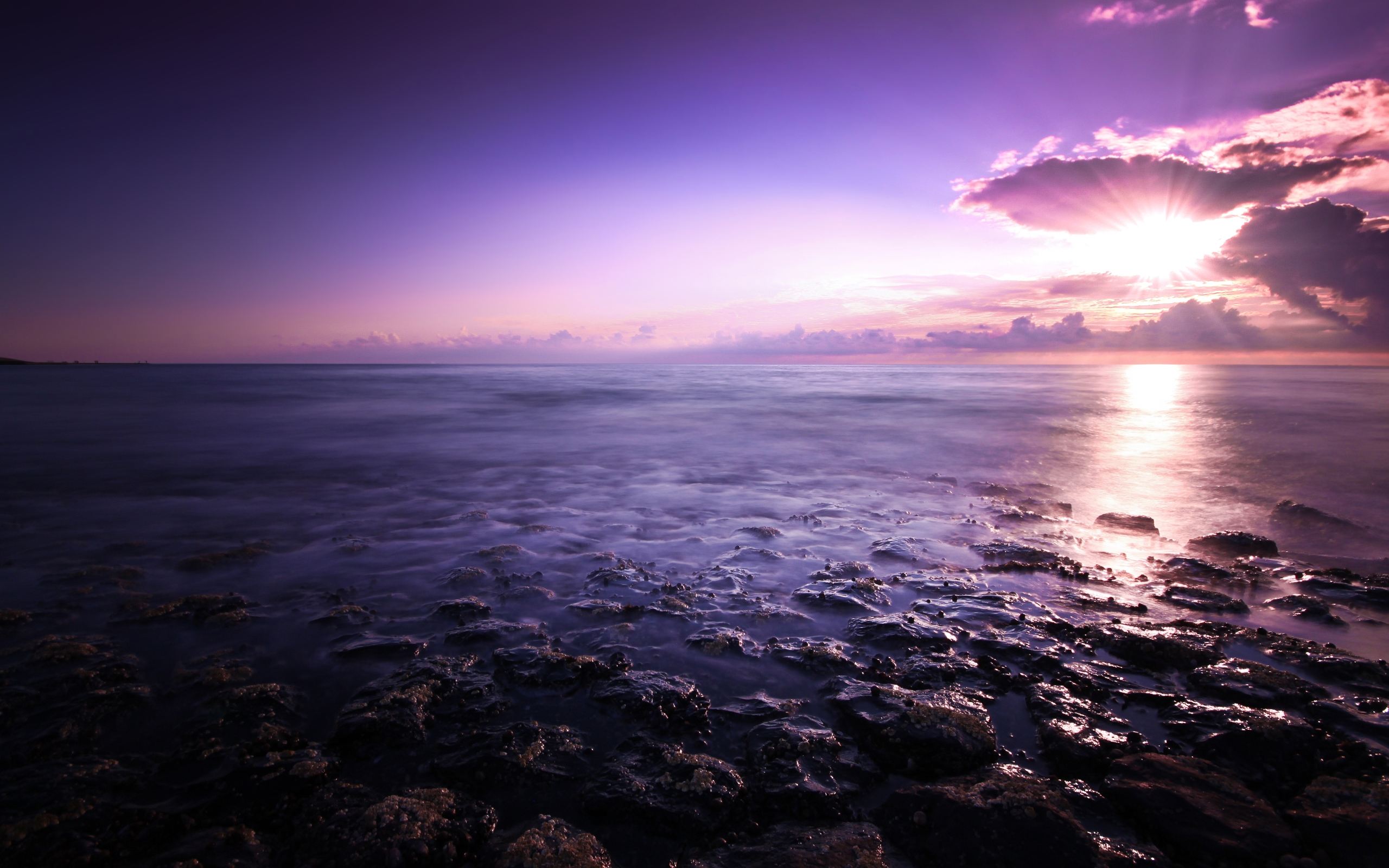 Purple Seascape Wallpaper HD