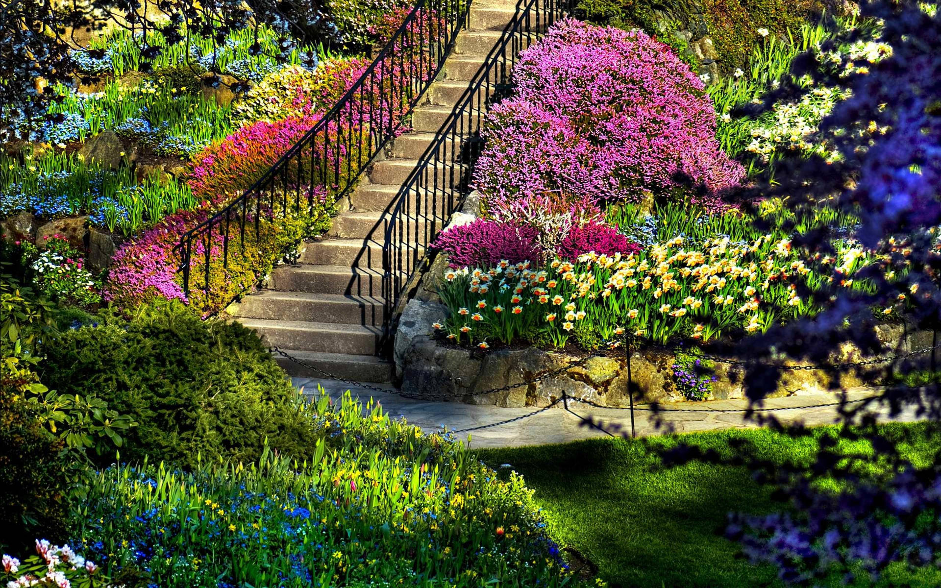 Most Beautiful Spring Wallpaper