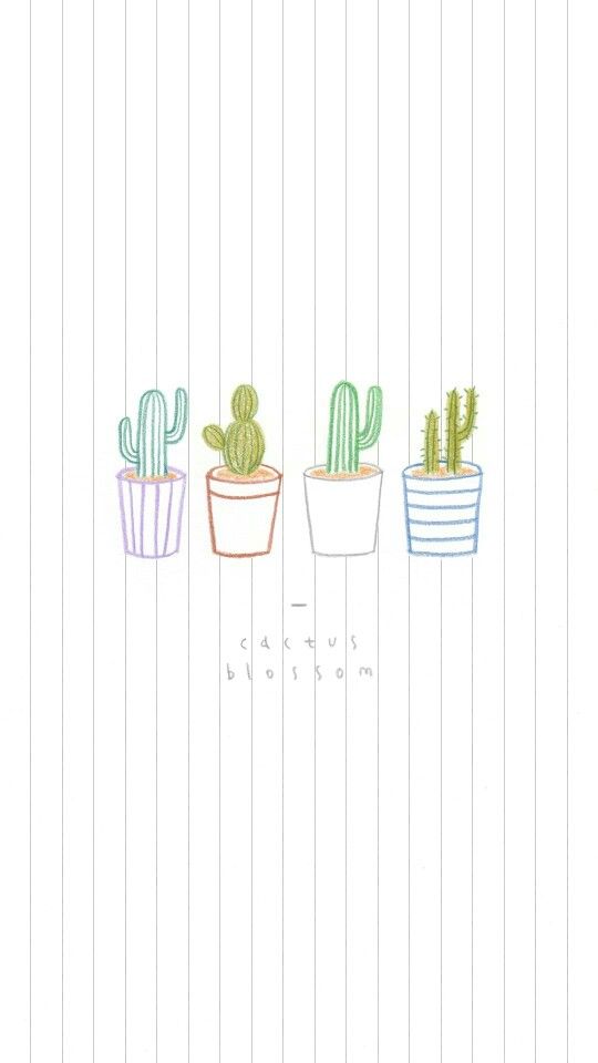Free download Cactus backgroundsFondos de Pantalla fondos [540x960] for  your Desktop, Mobile & Tablet | Explore 13+ Cute Cactus Wallpapers | Cute  Background, Cute Wallpaper, Cactus Wallpaper