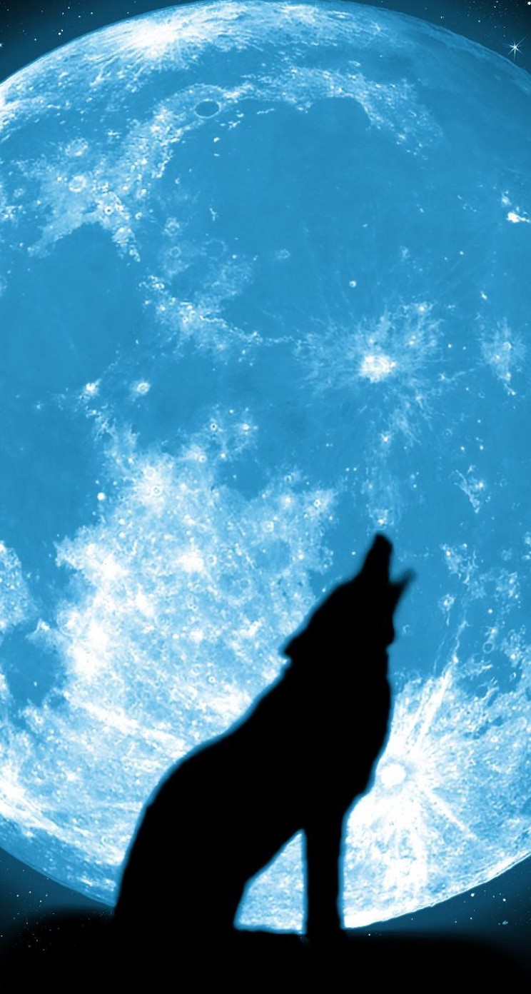 Image Of Wolf Howling At Moon iPhone Wallpaper Kootation