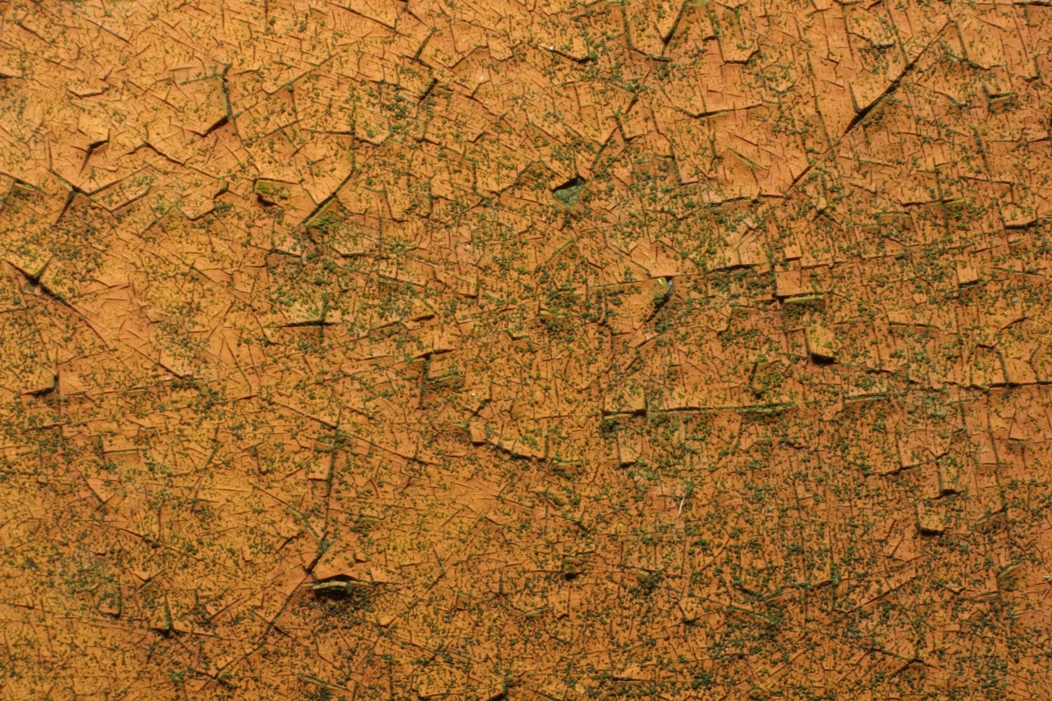 textured wallpaper to paint 2015   Grasscloth Wallpaper 2160x1440