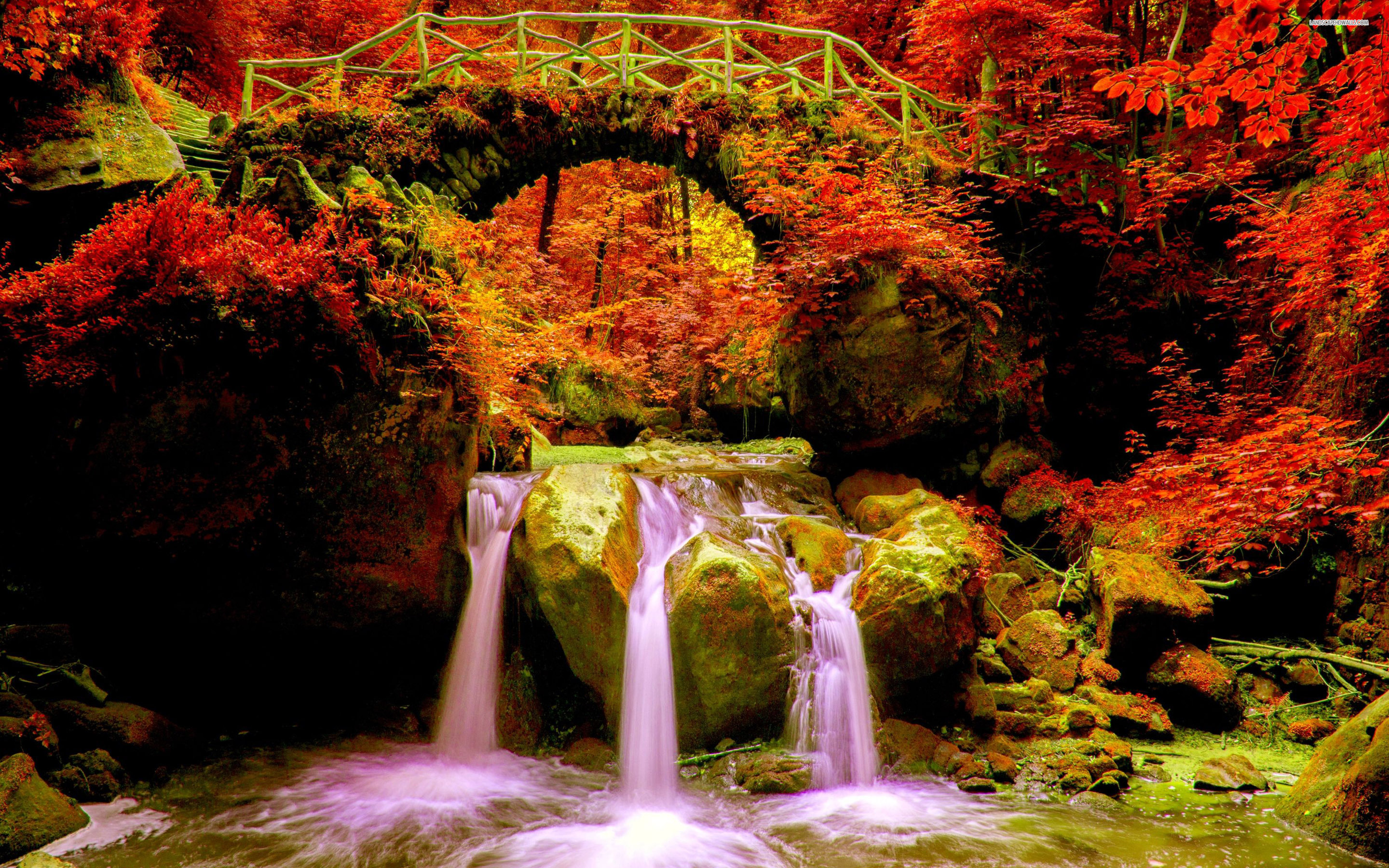 Beautiful Nature Autumn 4k Wallpaper Background