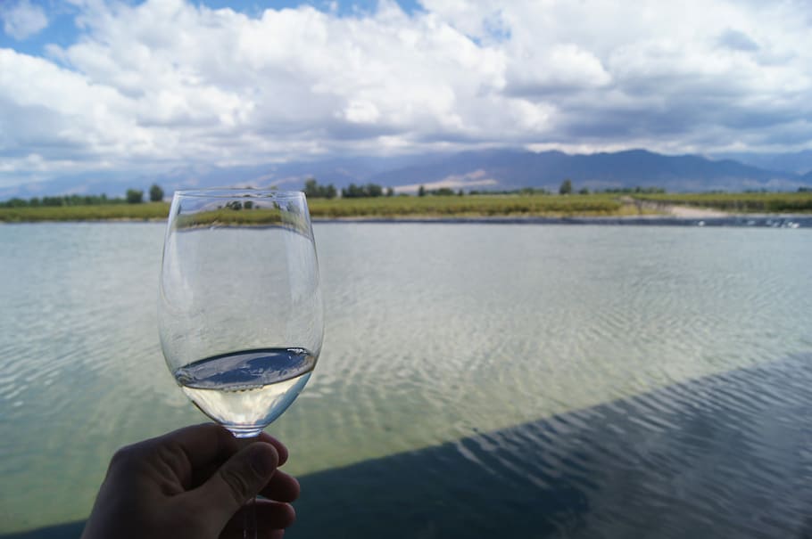 HD Wallpaper Vineyard Mendoza Wine Uco Valley Human Hand