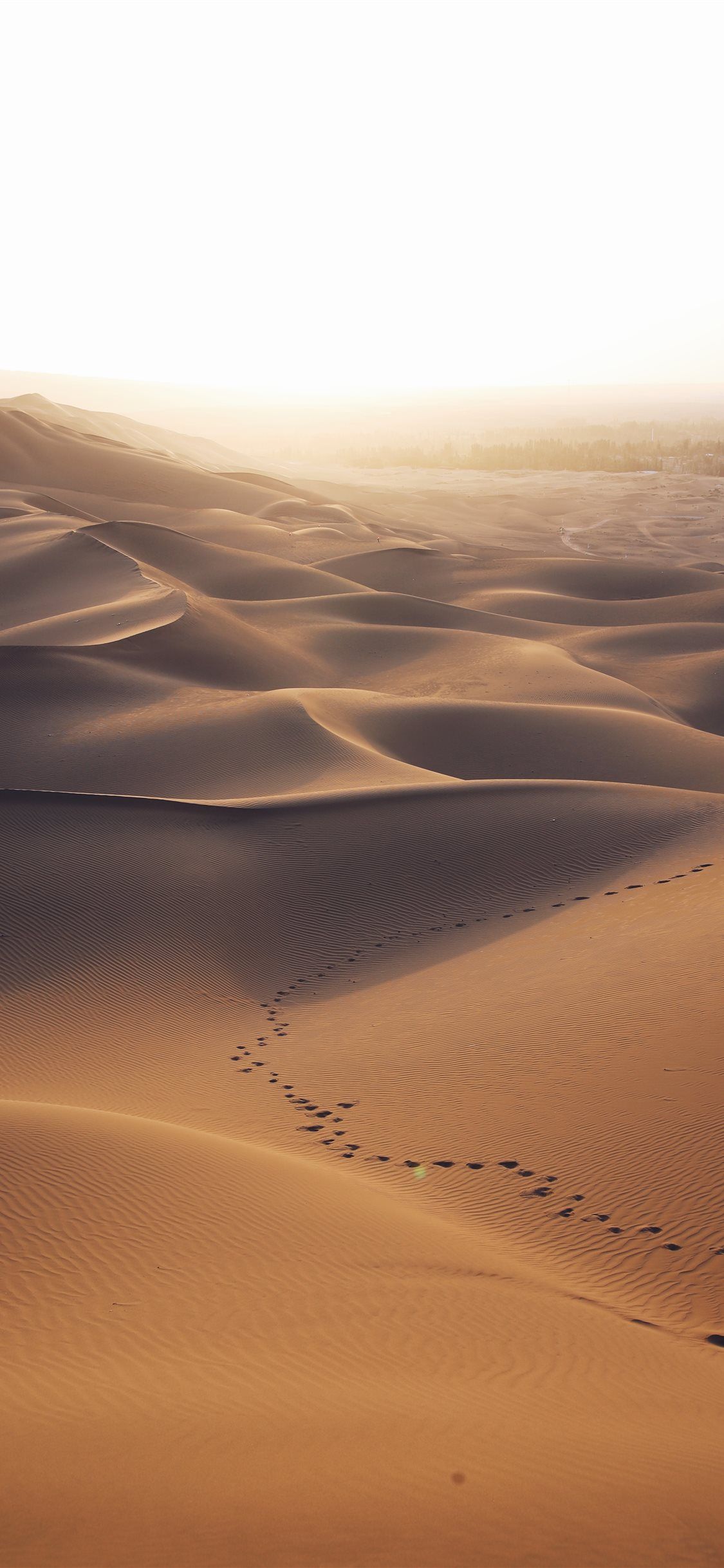 Desert Aesthetic Wallpaper