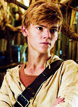 Thomas Sangster Image Newt Wallpaper And Background