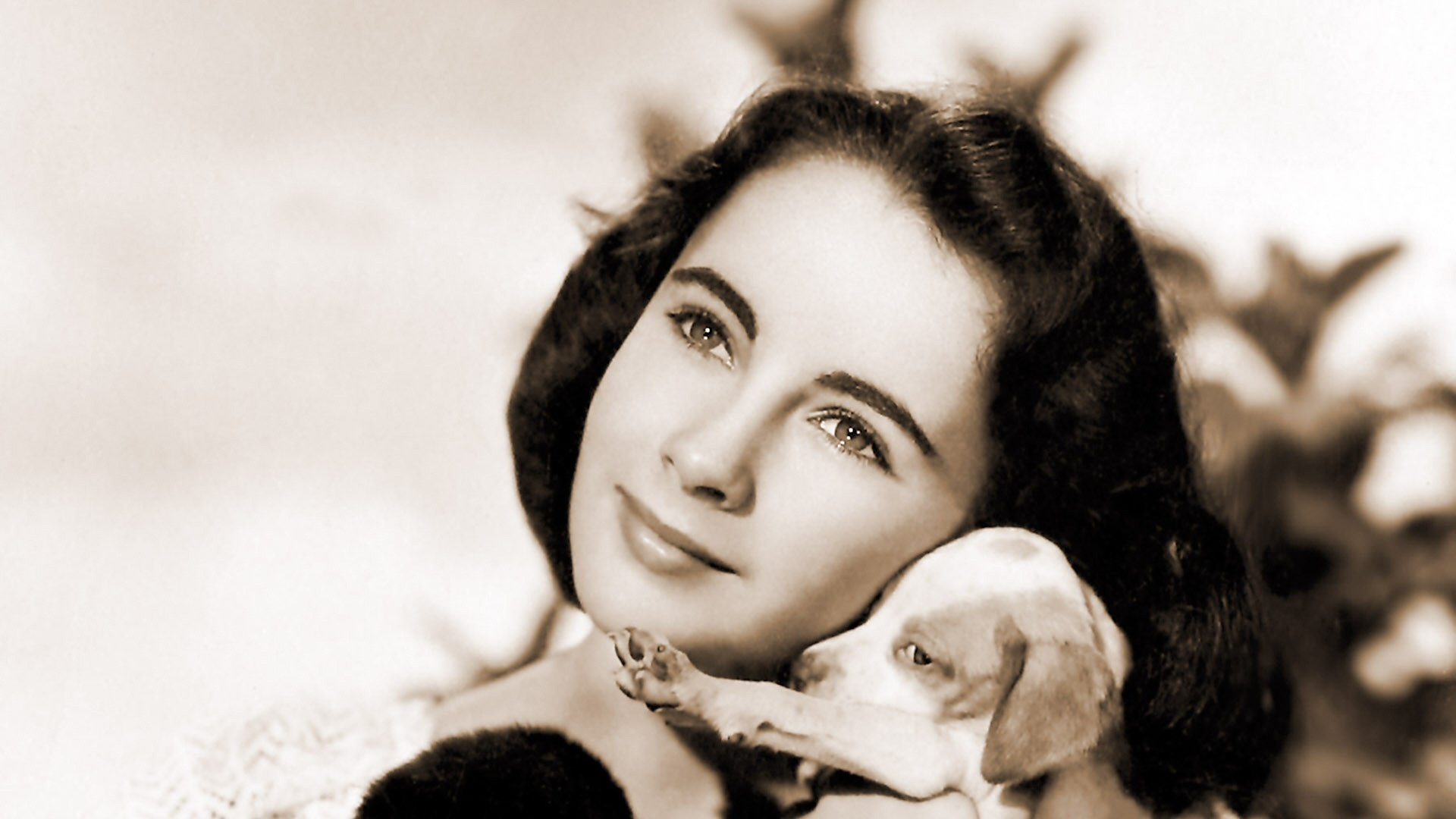 Elizabeth Taylor Wallpaper High Resolution And Quality