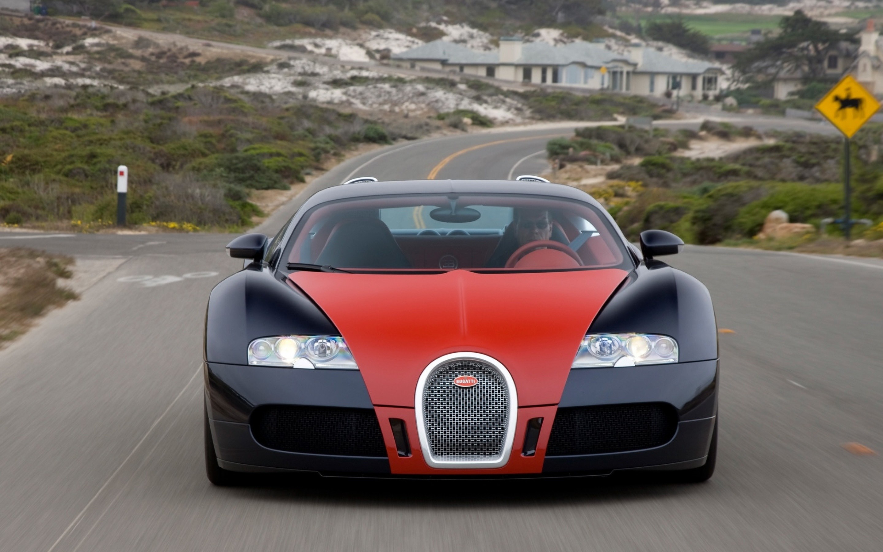 Cars Bugatti Wallpaper Veyron