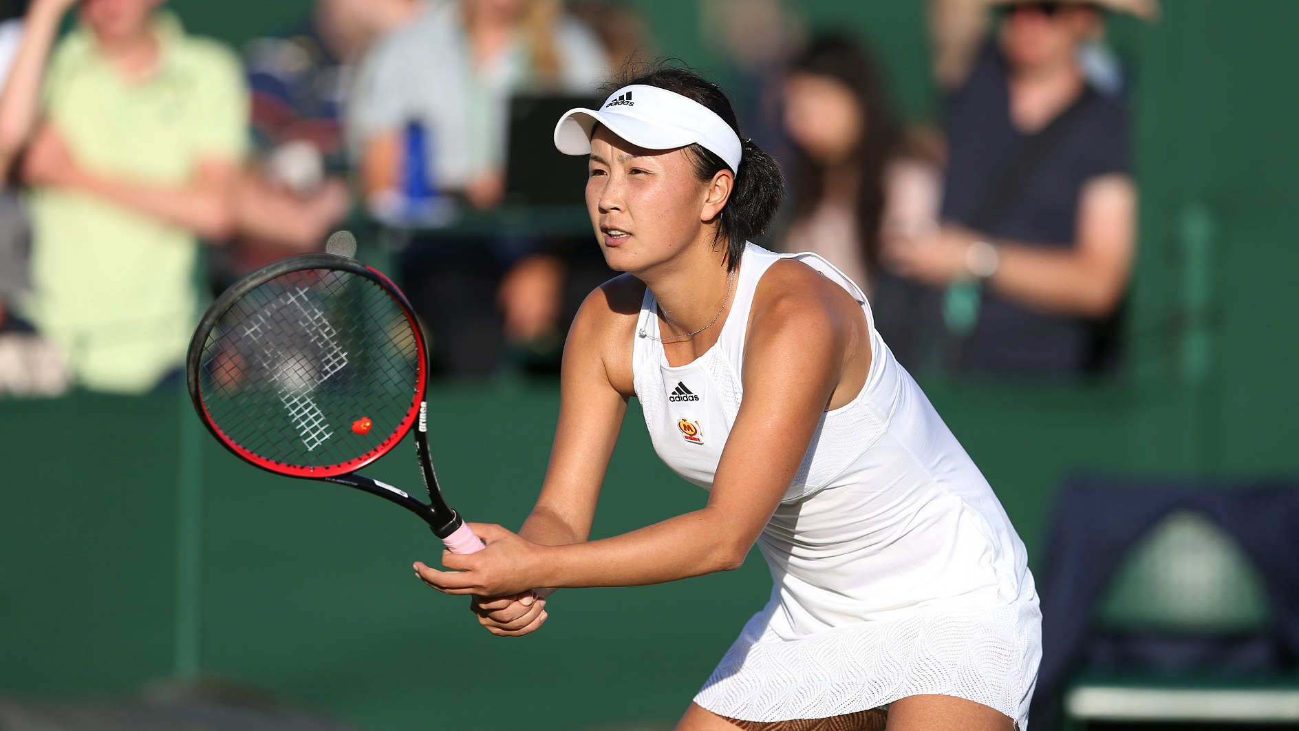 Shuai Peng Tennis Circus Wallpaper
