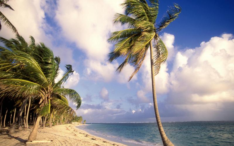 Free download HD Punta Cana Dominican Republic Wallpaper [800x500] for