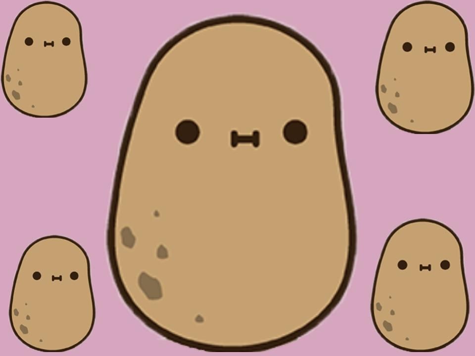 Kawaii Potato  Cute Potato HD wallpaper  Pxfuel