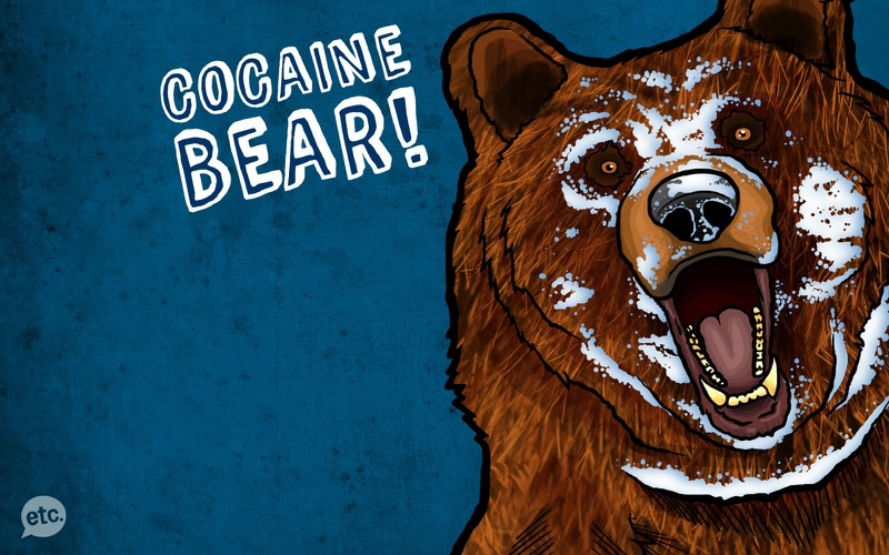 Cocaine Bears Wallpaper Animals HD Desktop