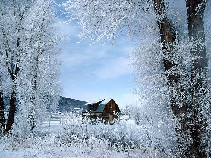 House Wallpaper Dreamy Snow Scene Beautiful Winter