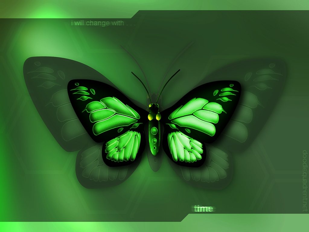 Desktop Wallpaper Green Butterfly