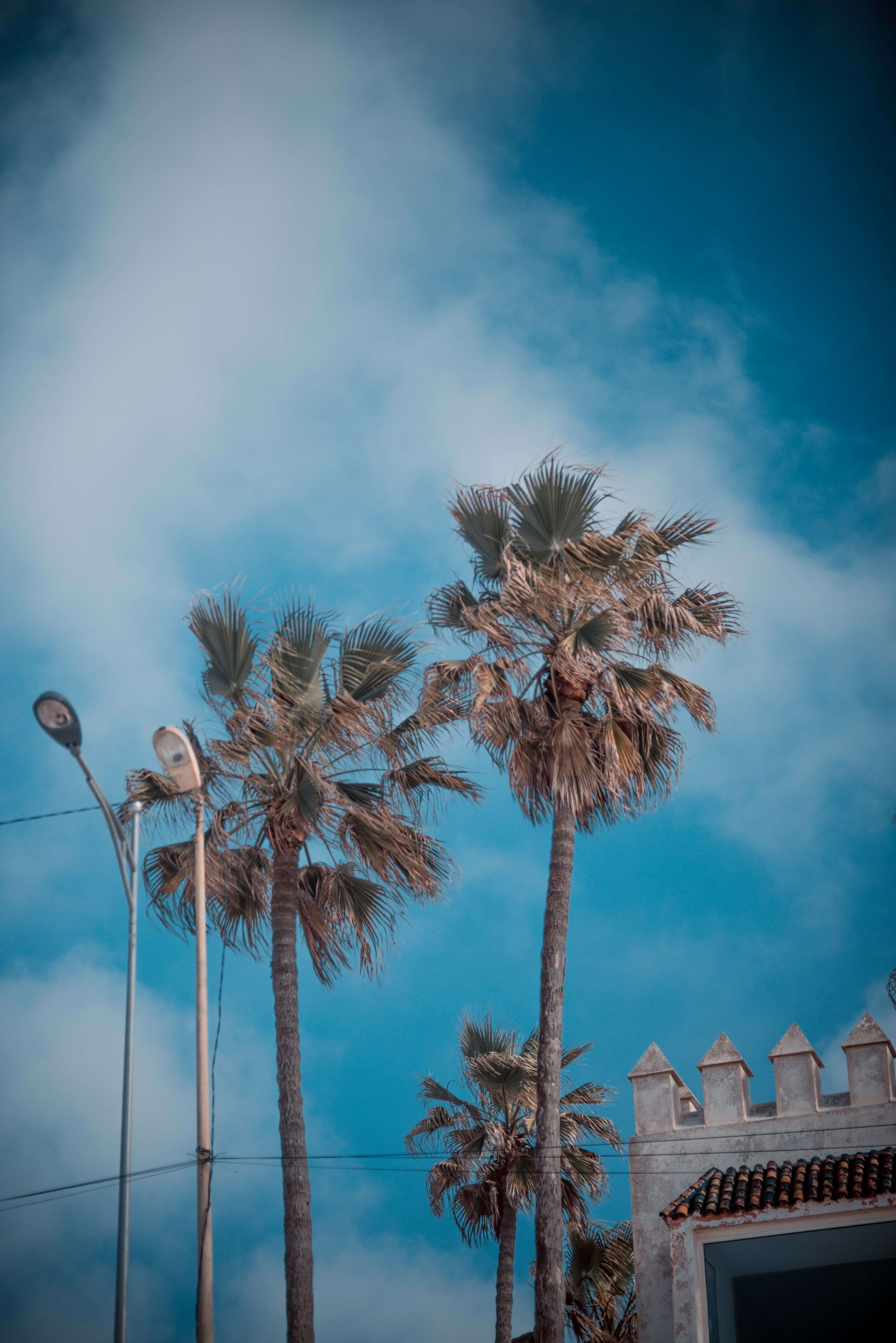 California Aesthetic Wallpaper