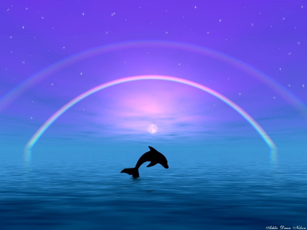 3d Dolphin Wallpaper Dolphins
