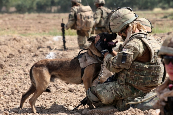 Military Soldiers Dogs Wallpaper Desktop