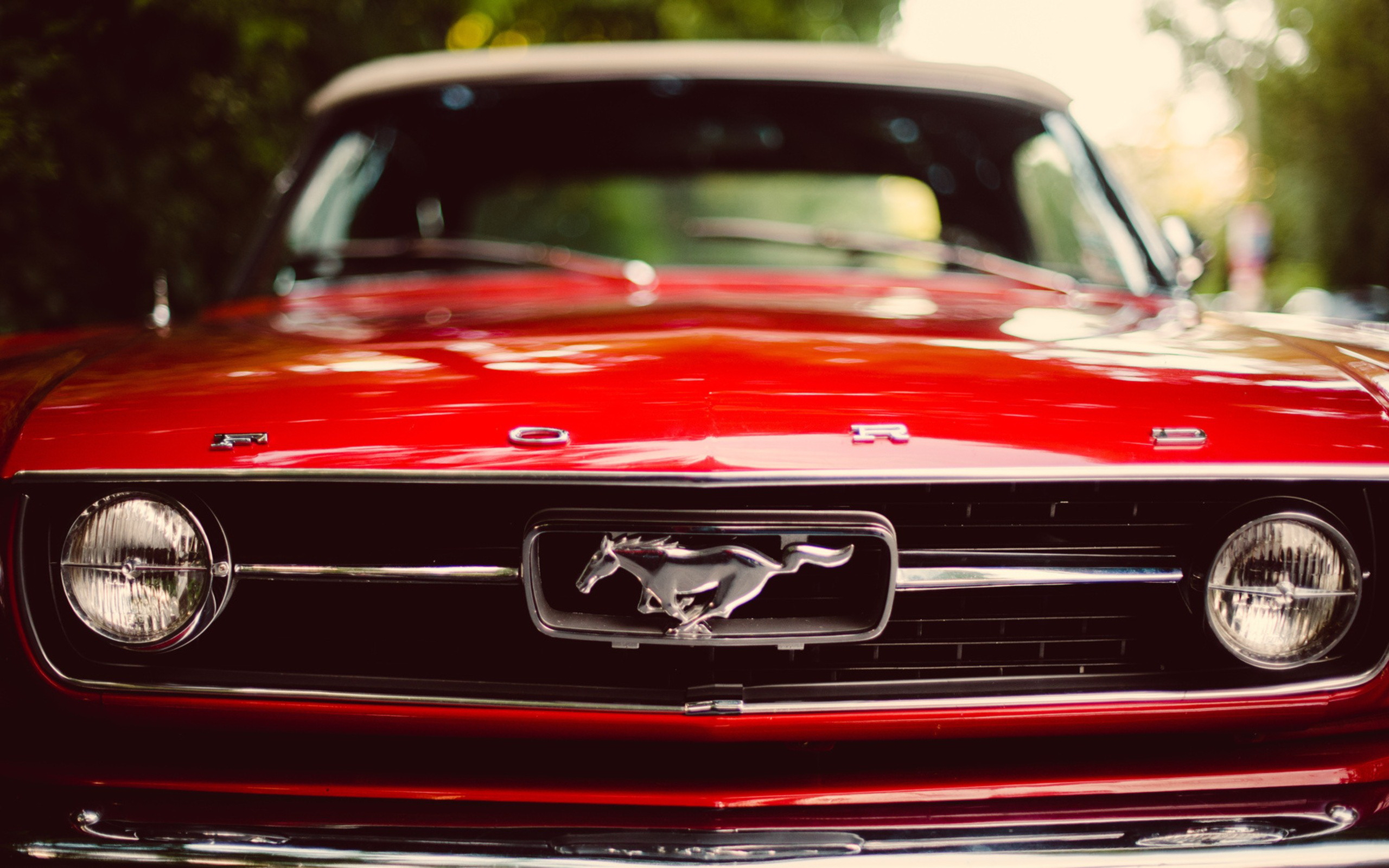 Red Ford Mustang Front Wallpaper