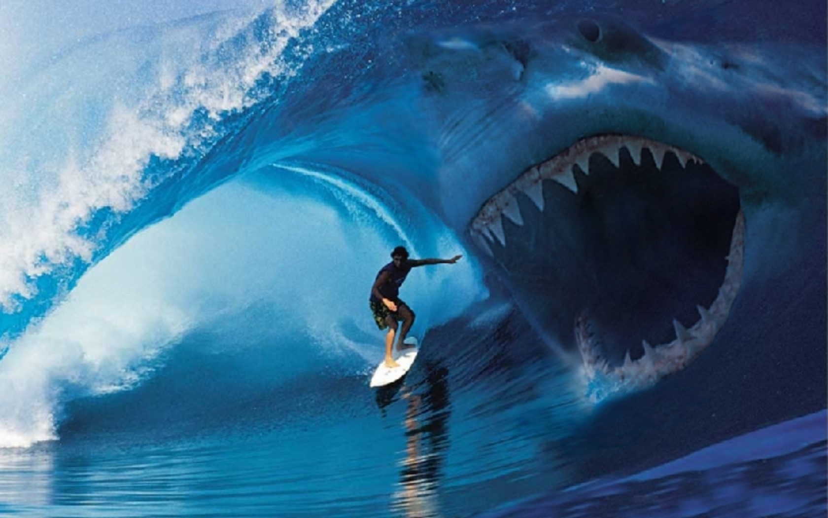 Shark Attack Surfer VieHD Wallpaper Full HD