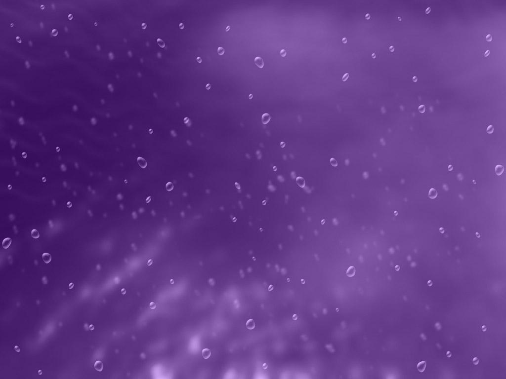 Violet Background Wallpaper