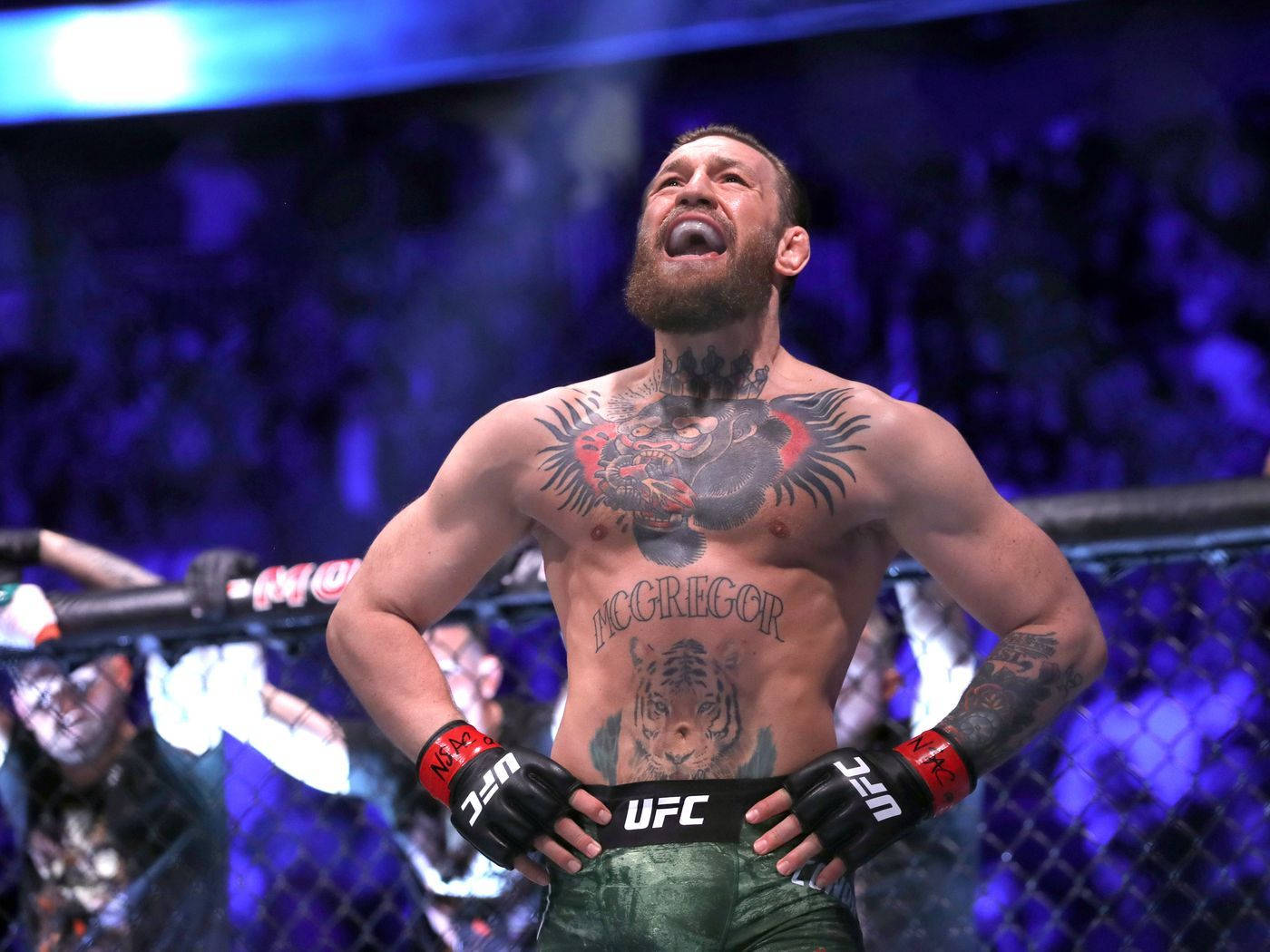 Ufc 4k Wallpaper