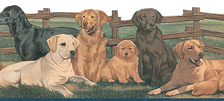 Details About Labrador Dogs And Puppys Wallpaper Border Ta39037db