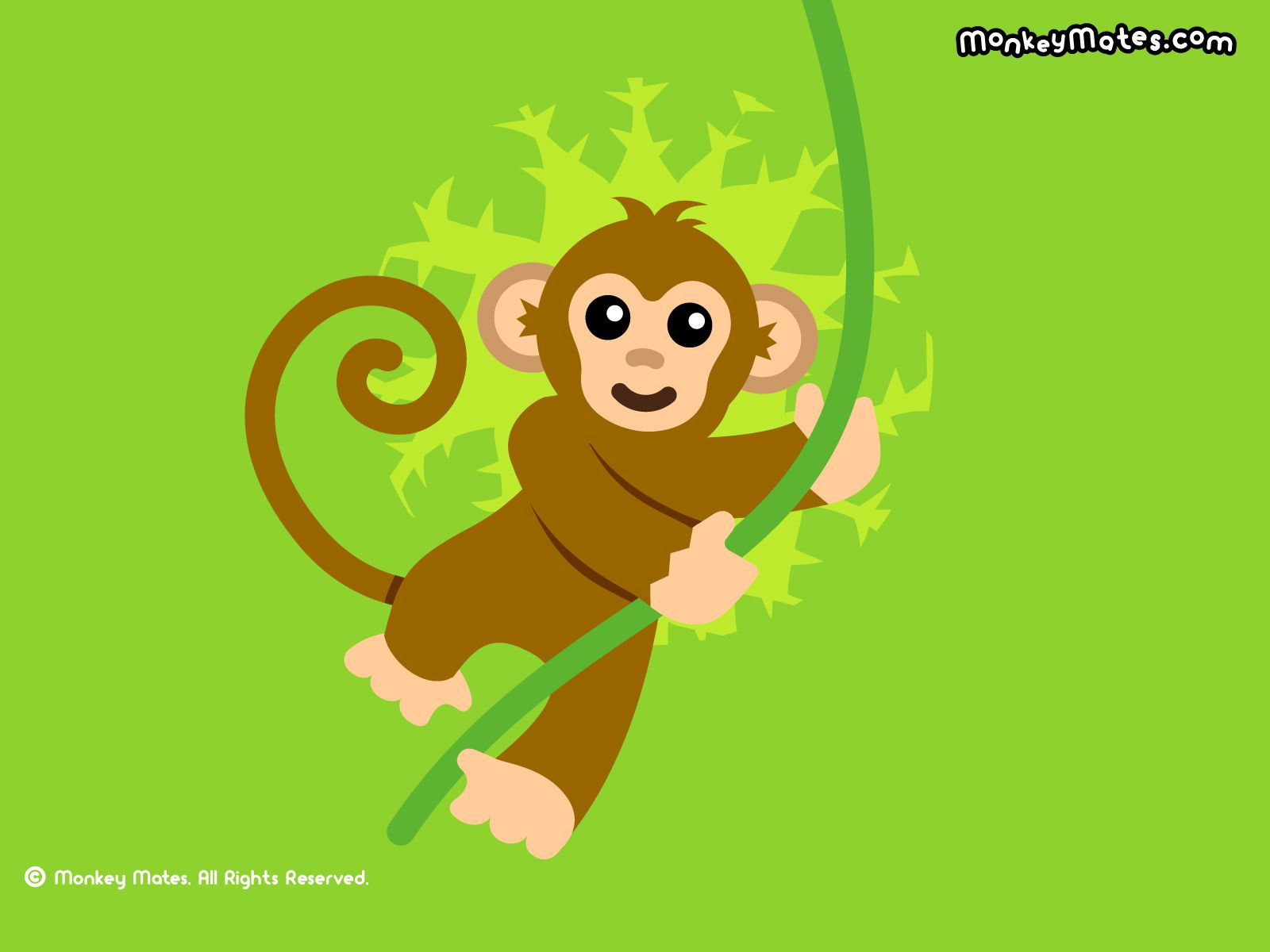 Wallpaper For Cute Cartoon Monkey