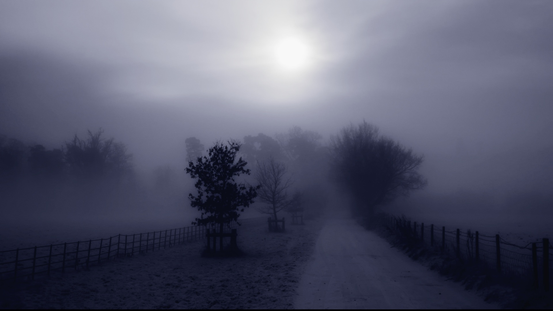 Fog Wallpaper HD