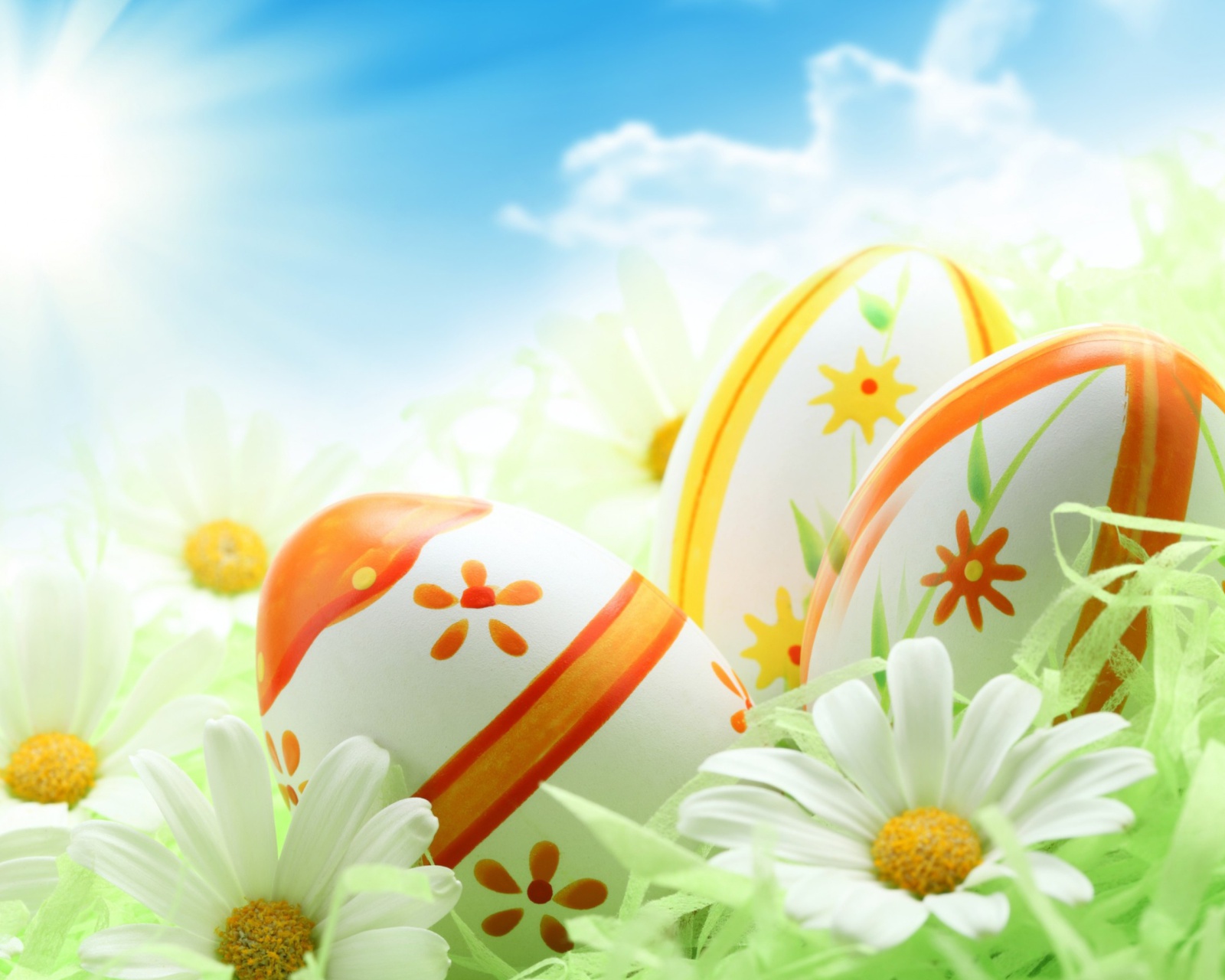 Tags Easter Eggs And Daisies Wallpaper1600x1280 Wallpaper
