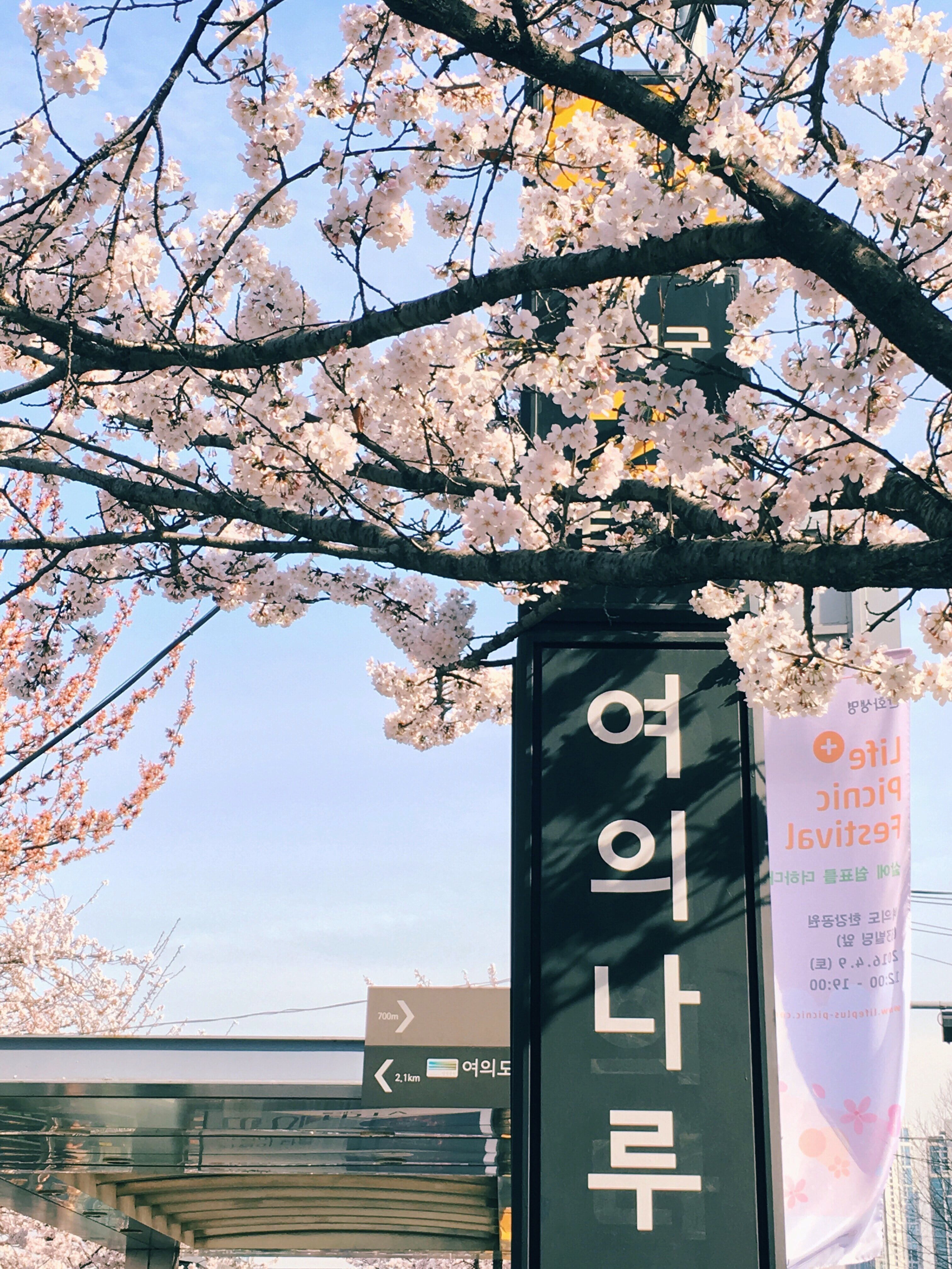 Korean Aesthetic Desktop Wallpaper K HD