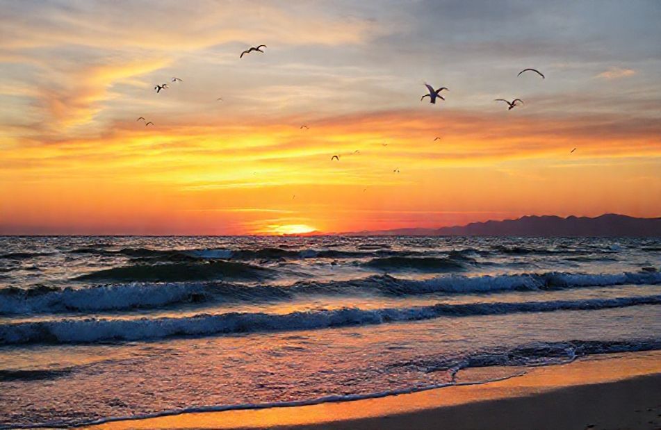 Ocean Wallpaper And Screensavers
