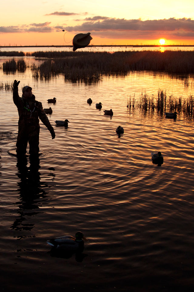duck hunting wallpaper for iphone