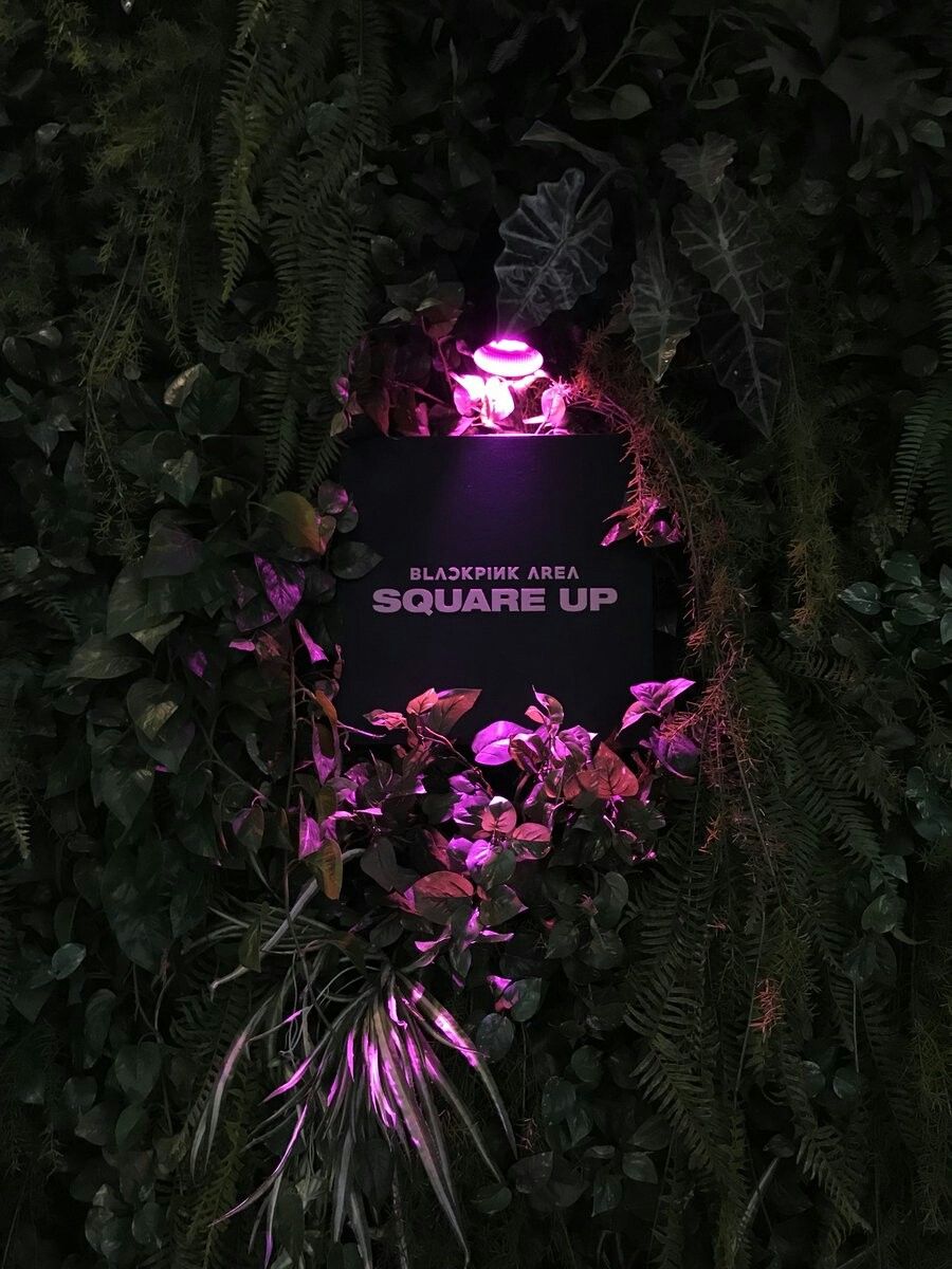 BLACKPINK HOUSE is now turned into [SQUARE UP] CONCEPT POP UP for