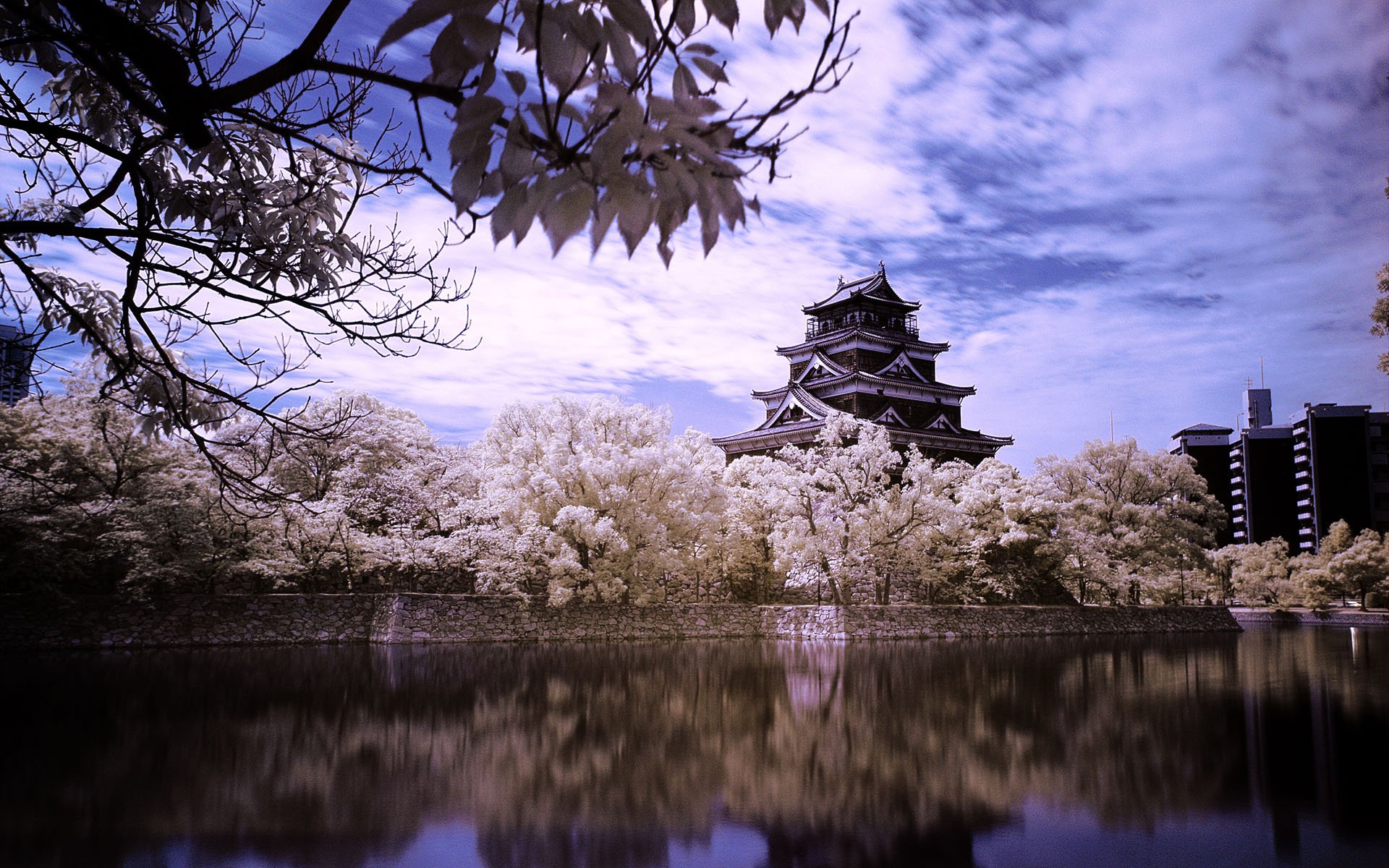 Osaka Castle Insid HD Wallpaper Background Image